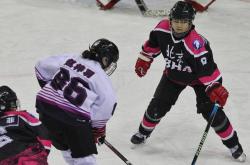 lol季中赛-榜首之争：四川队与山东队将争夺领先位置