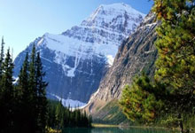 lol转区-日本羽毛球队鏖战泰国羽毛球队，安赛龙统治全场——羽毛球激战背后的精彩瞬间与冠军风采