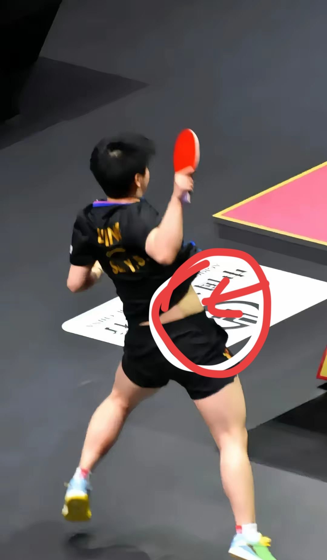 球场上的女将们，用实力征服观众的心