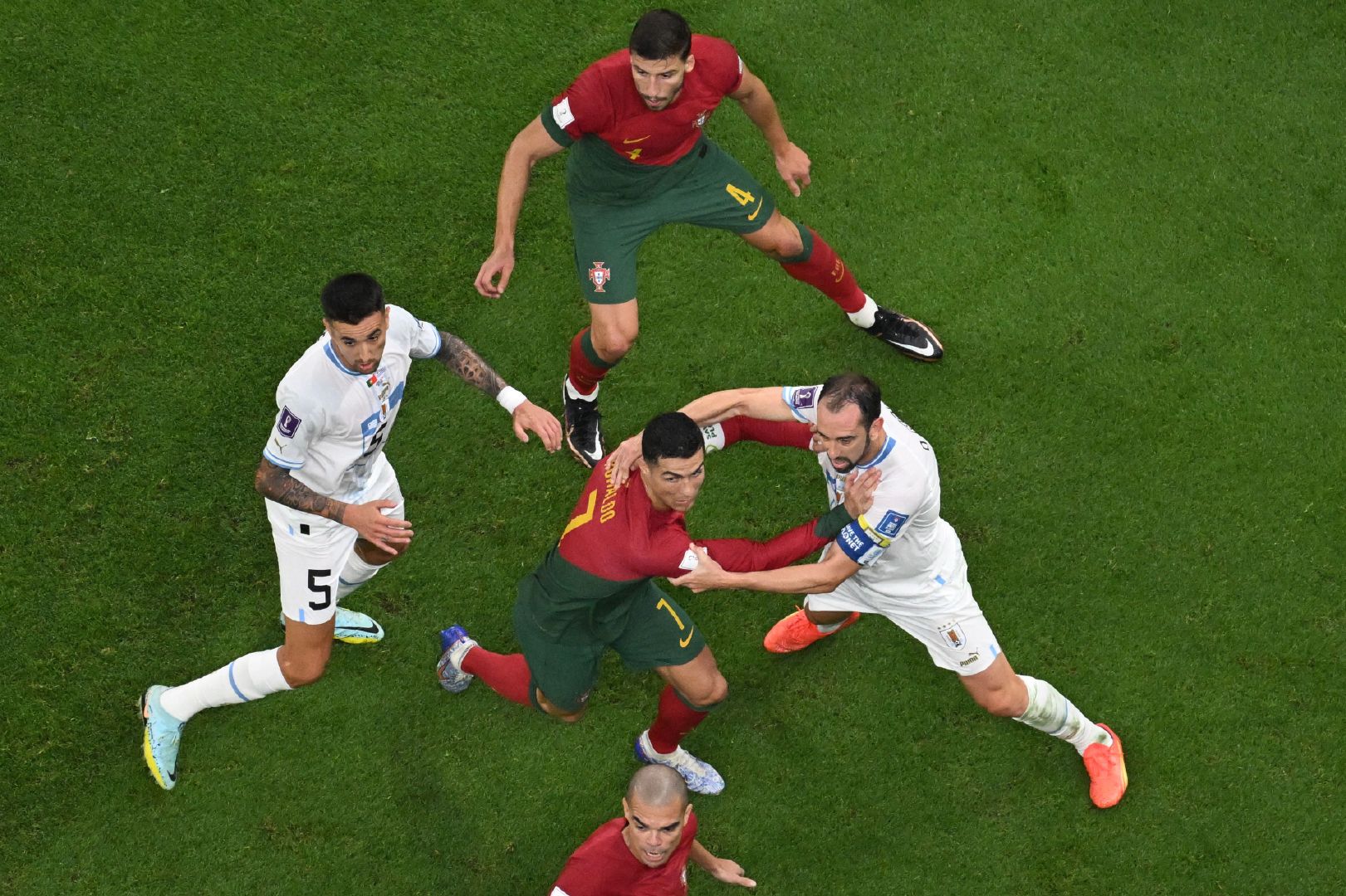 关于荷兰险胜塞内加尔，哈弗茨带队取胜的信息