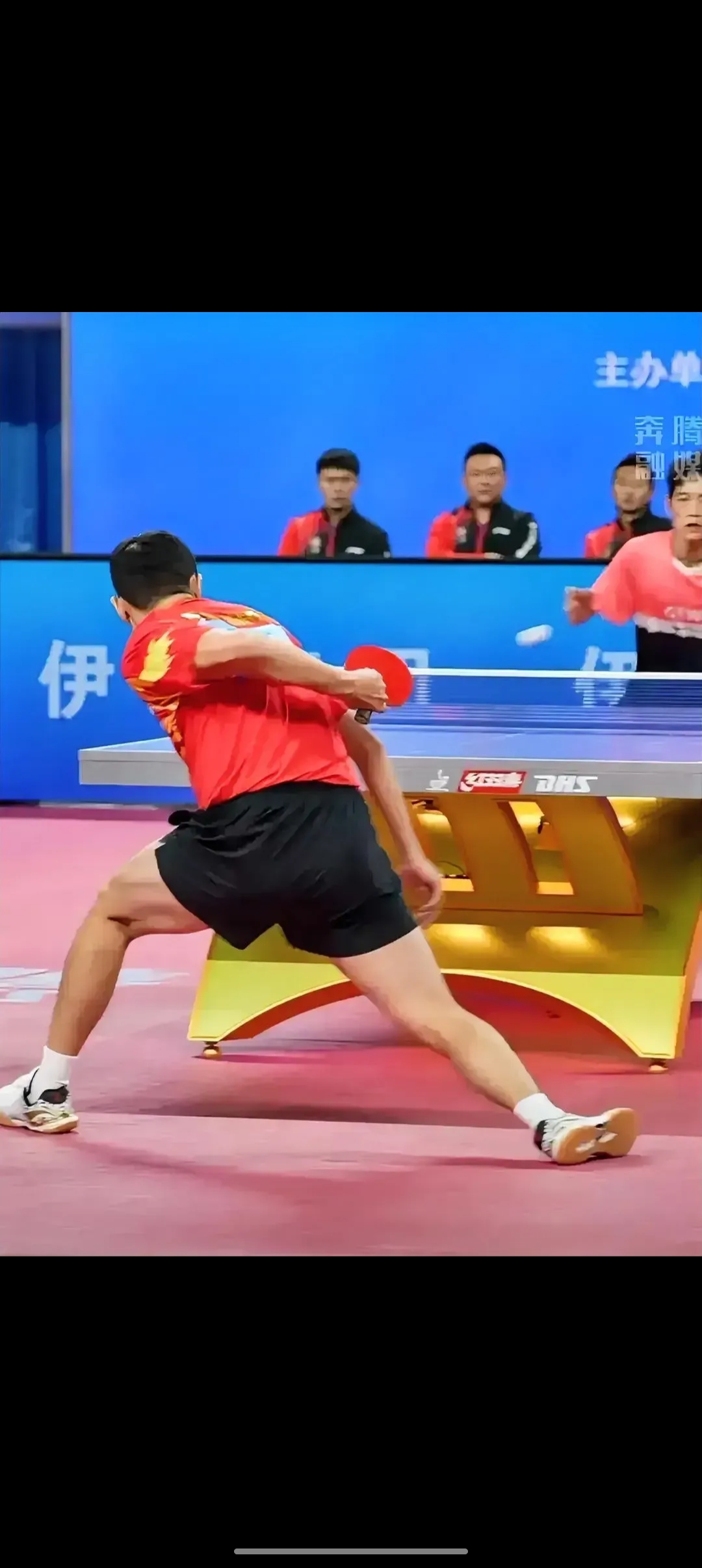 法国队鏖战葡萄牙队,许昕高光表现 法国队鏖战葡萄牙队,许昕高光表现